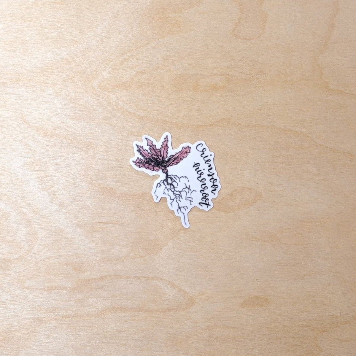 Crimson Nirnroot Botanical Hand-Illustrated Sticker