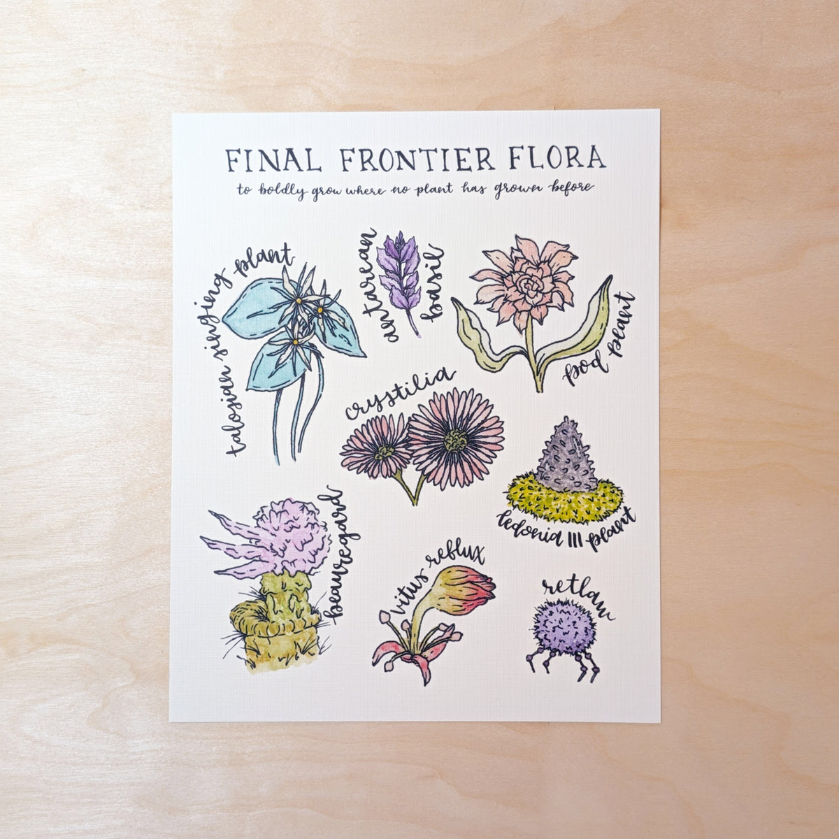Star Trek The Final Frontier Botanical ArtPrint