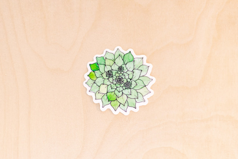 Tropical Florals Sticker Pack