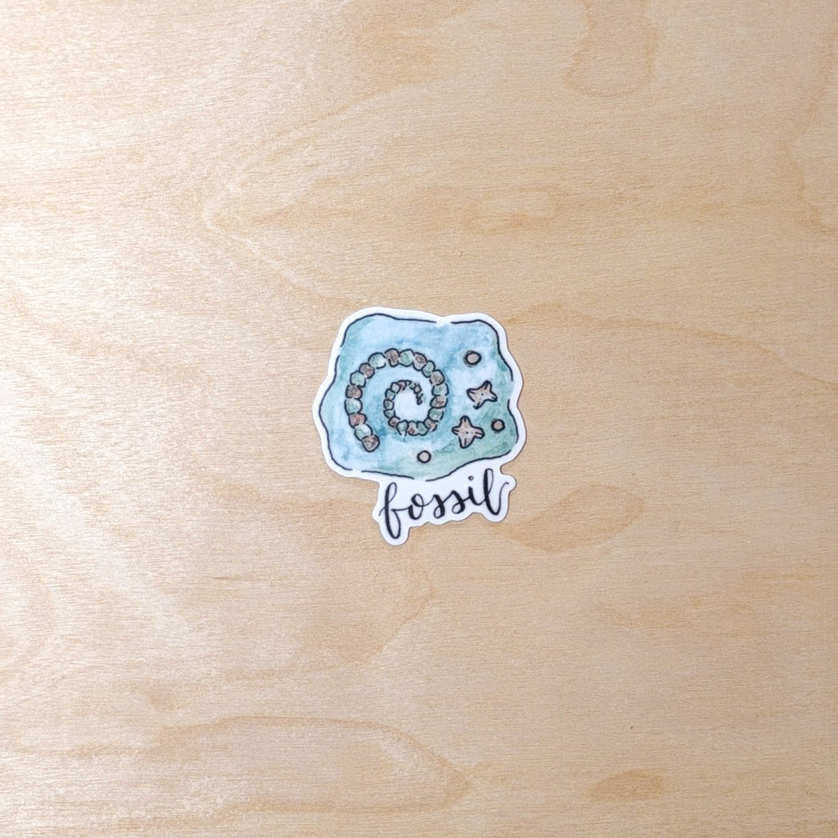 Fossil Hand-Illustrated Sticker