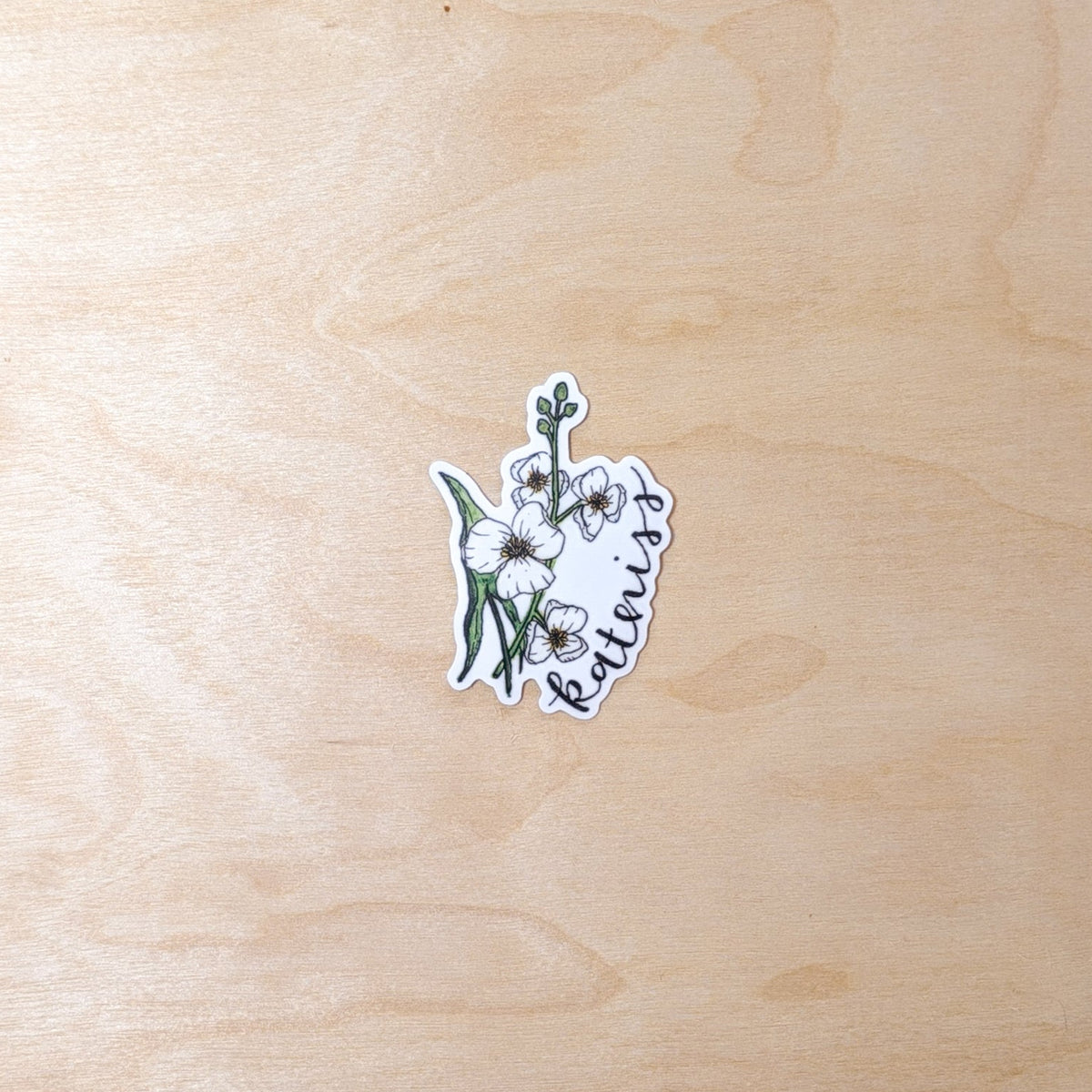 Katniss Botanical Hand-Illustrated Sticker