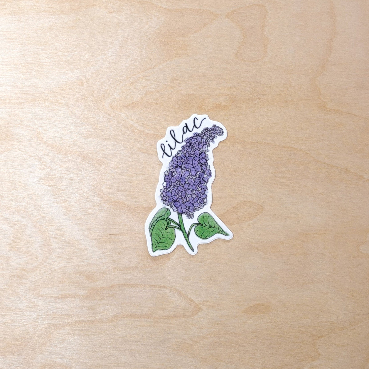 Lilac Purple Botanical Hand-Illustrated Sticker