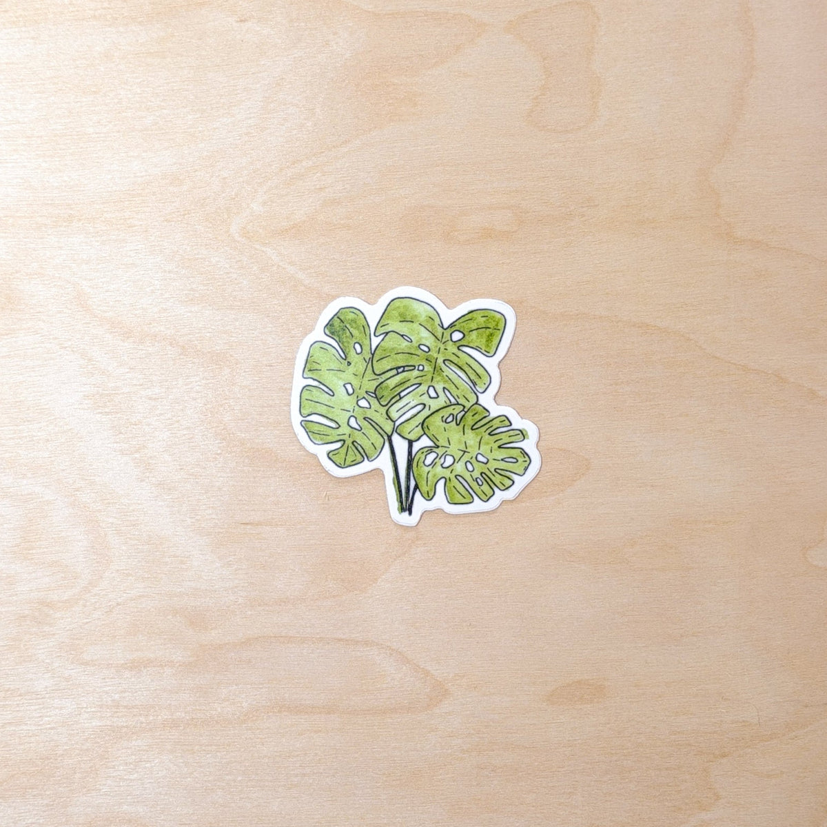 Monstera Leaf Botanical Hand-Illustrated Sticker