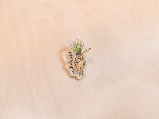 Mandrake Root Botanical Acrylic Pin