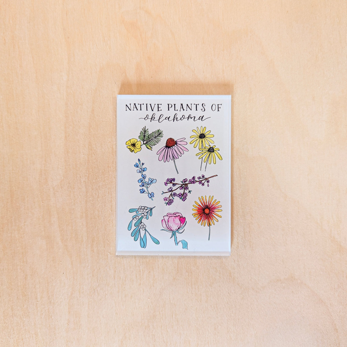 Native Plants of Oklahoma Botanical Acrylic Magnet