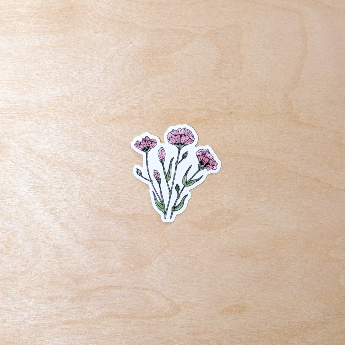 Carnation Floral Botanical Hand-Illustrated Sticker