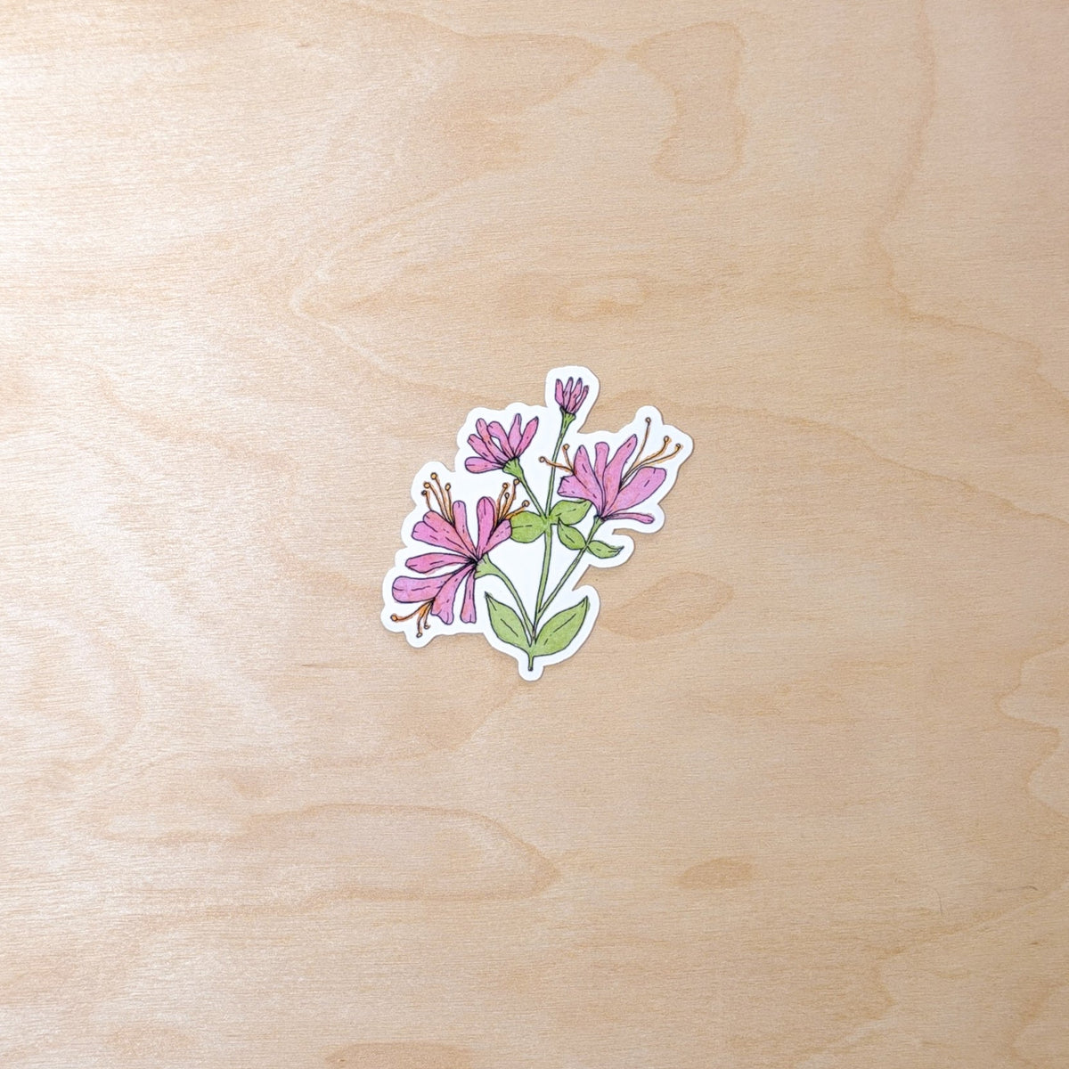 Honeysuckle Floral Botanical Hand-Illustrated Sticker
