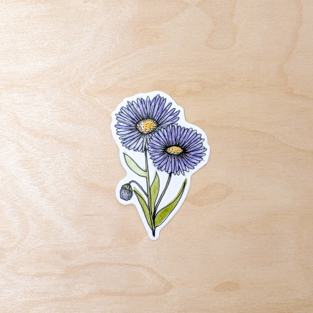 Aster Floral Botanical Hand-Illustrated Sticker