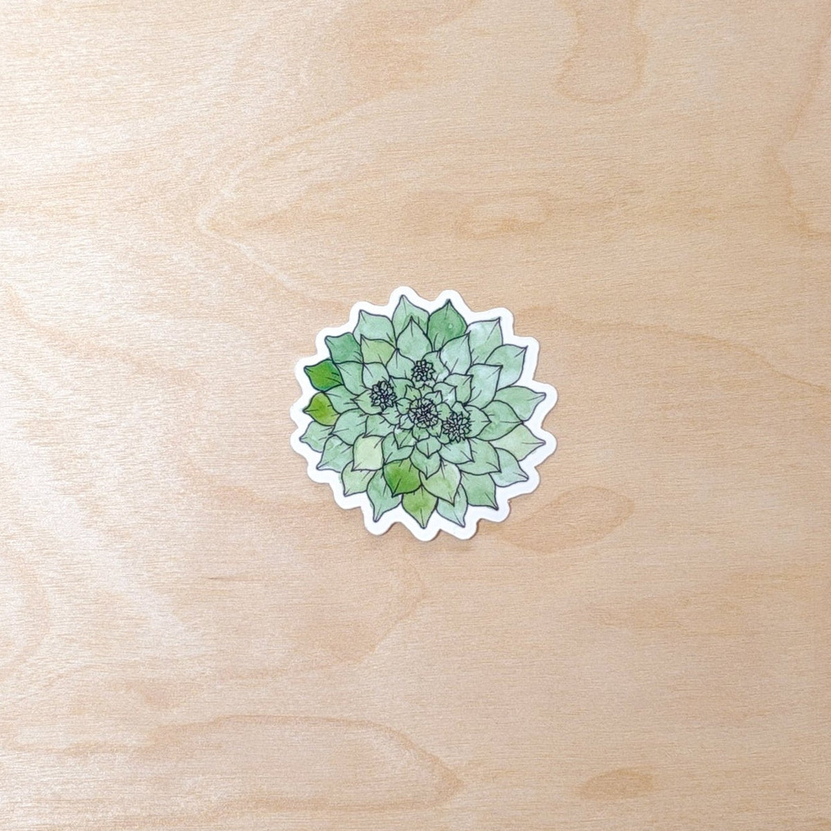Succulent Botanical Hand-Illustrated Sticker