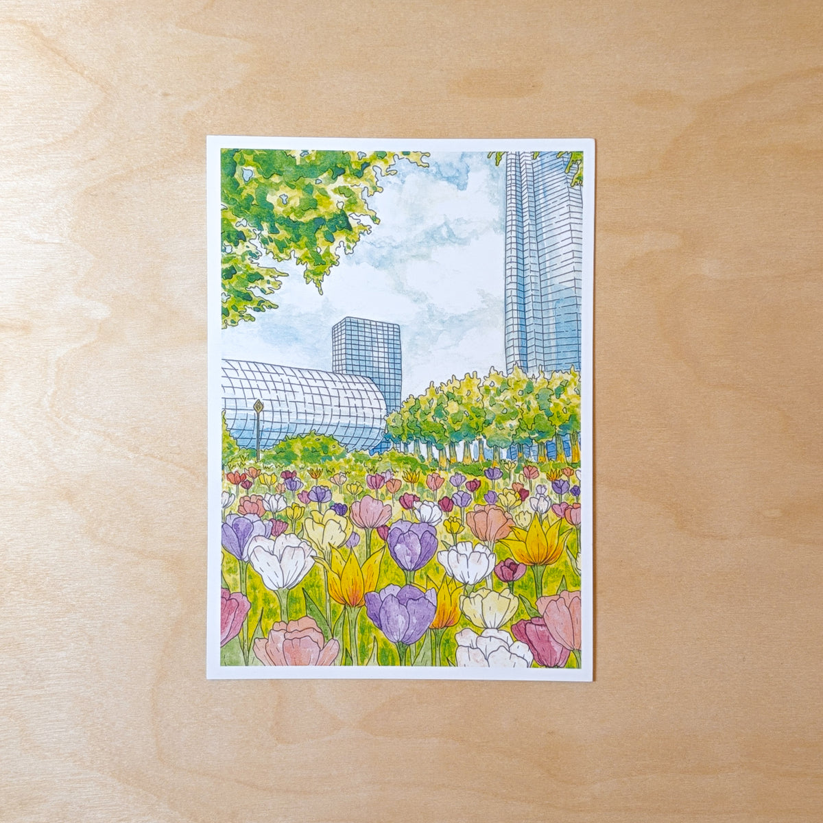 Tulips in the City Oklahoma City Illustrated Postcard