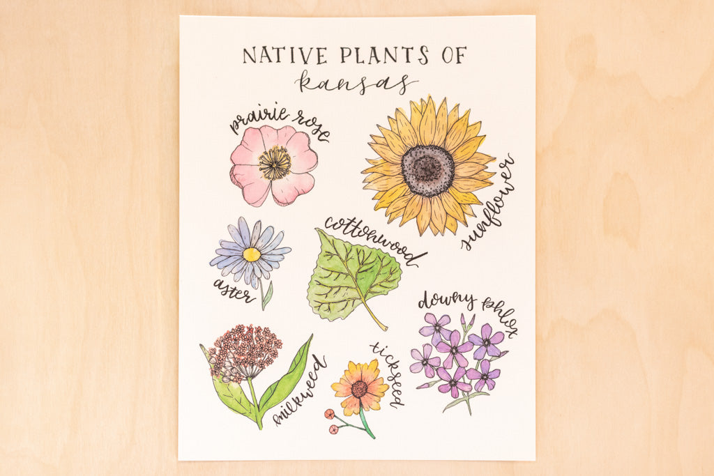 Native Plants of Kansas Floral Botanical Print