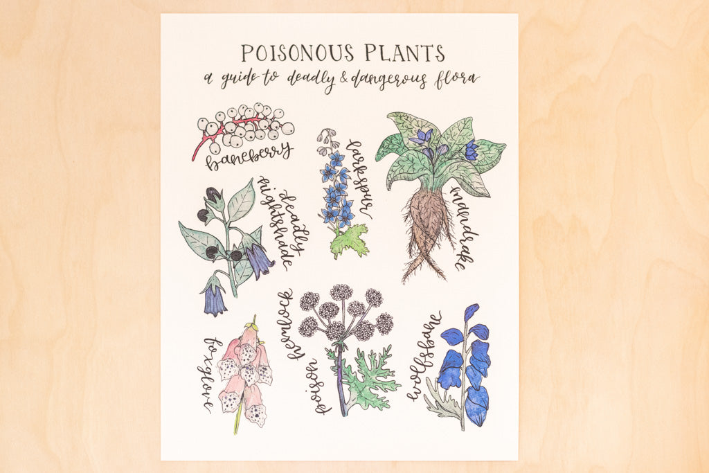 Poisonous Plants Botanical Watercolor Art Print