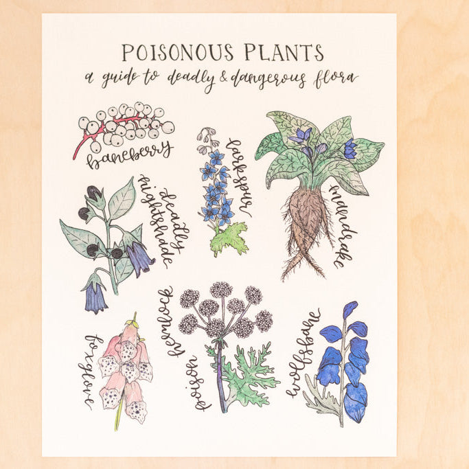 Poisonous Plants Botanical Watercolor Art Print
