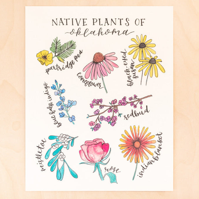 Native Plants of Oklahoma Floral Botanical Print