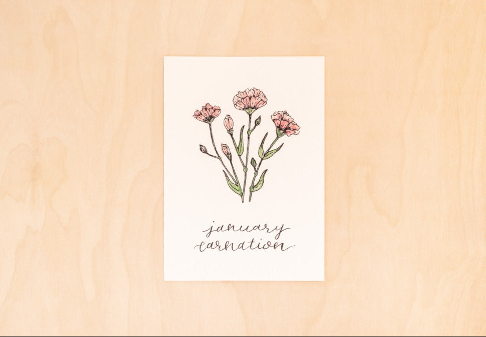 January Birth Month Carnation Floral Botanical Print