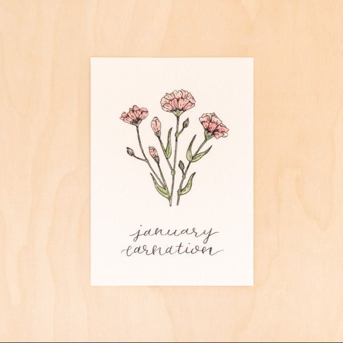 January Birth Month Carnation Floral Botanical Print