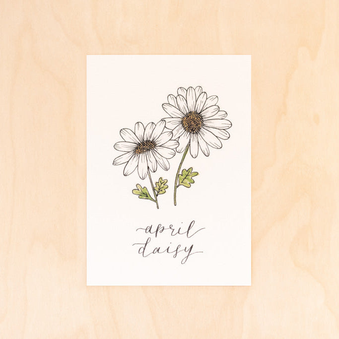 April Birth Month Daisy Floral Botanical Print