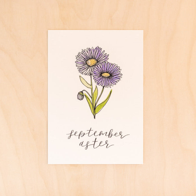 September Birth Month Aster Floral Botanical Print