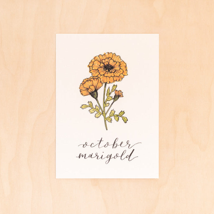 October Birth Month Marigold Botanical Print