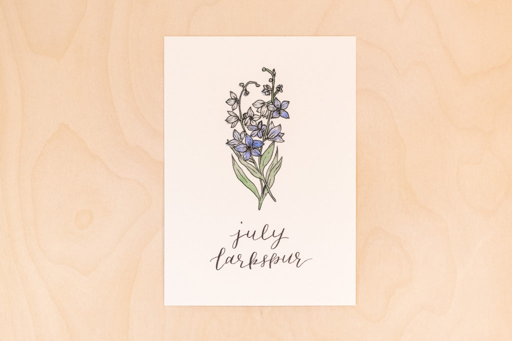 July Birth Month Larkspur Floral Botanical Print