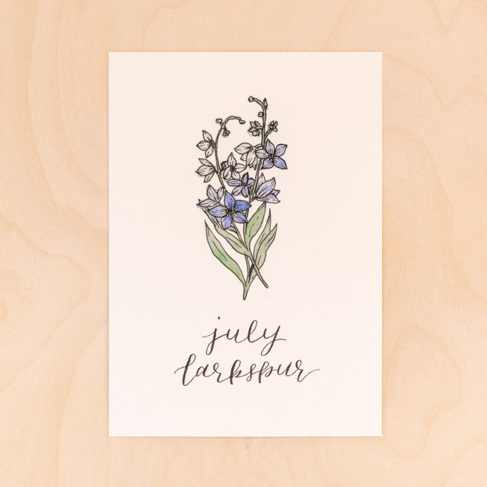 July Birth Month Larkspur Floral Botanical Print