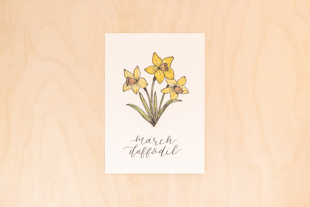March Birth Month Daffodil Floral Botanical Print