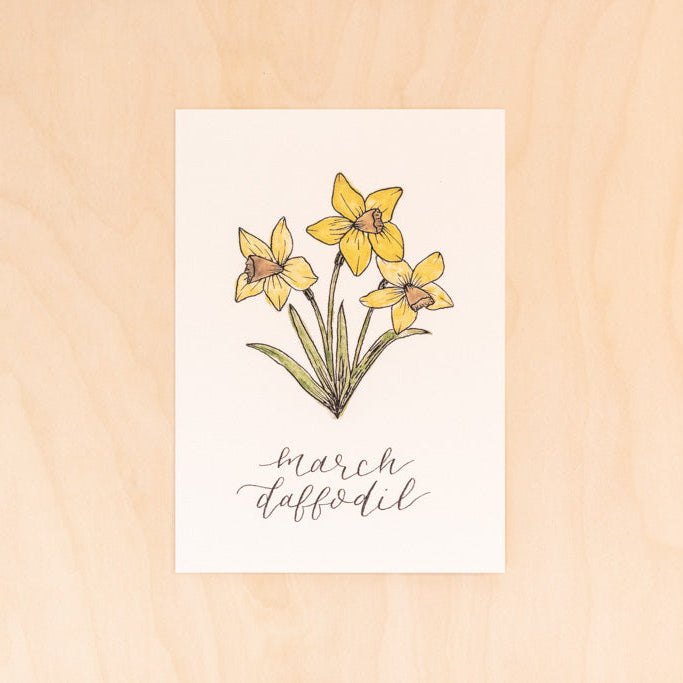 March Birth Month Daffodil Floral Botanical Print
