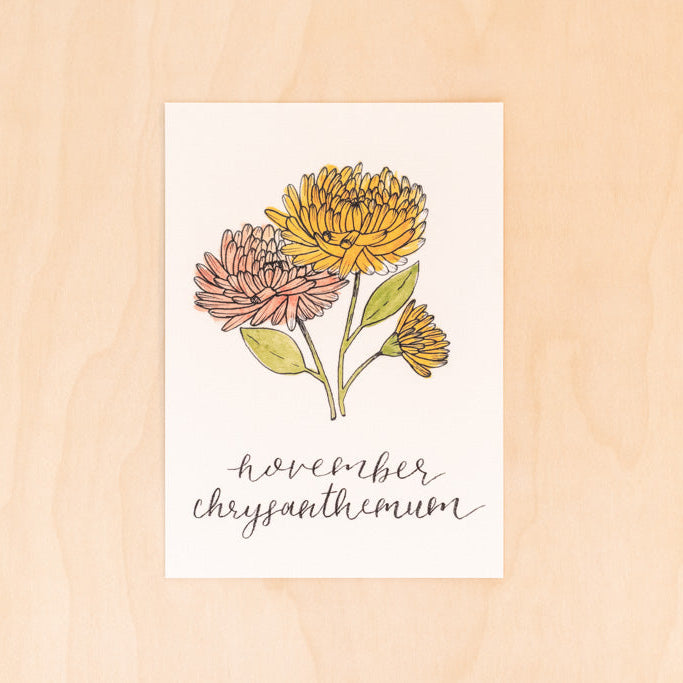 November Birth Month Chrysanthemum Print