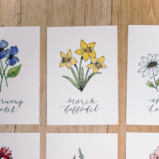 March Birth Month Daffodil Floral Botanical Print
