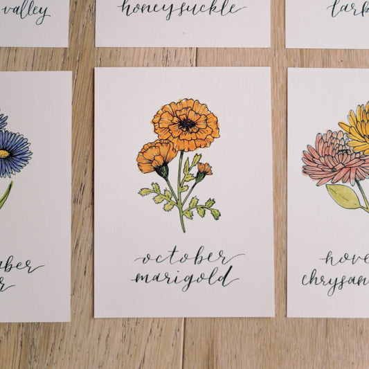 October Birth Month Marigold Botanical Print