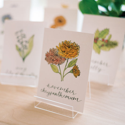 November Birth Month Chrysanthemum Print