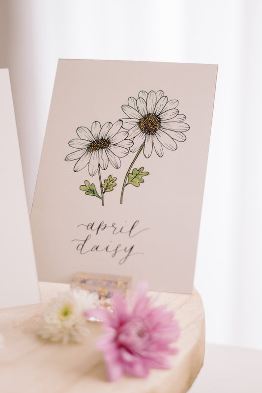 April Birth Month Daisy Floral Botanical Print