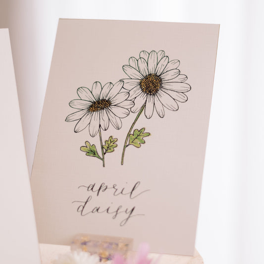 April Birth Month Daisy Floral Botanical Print