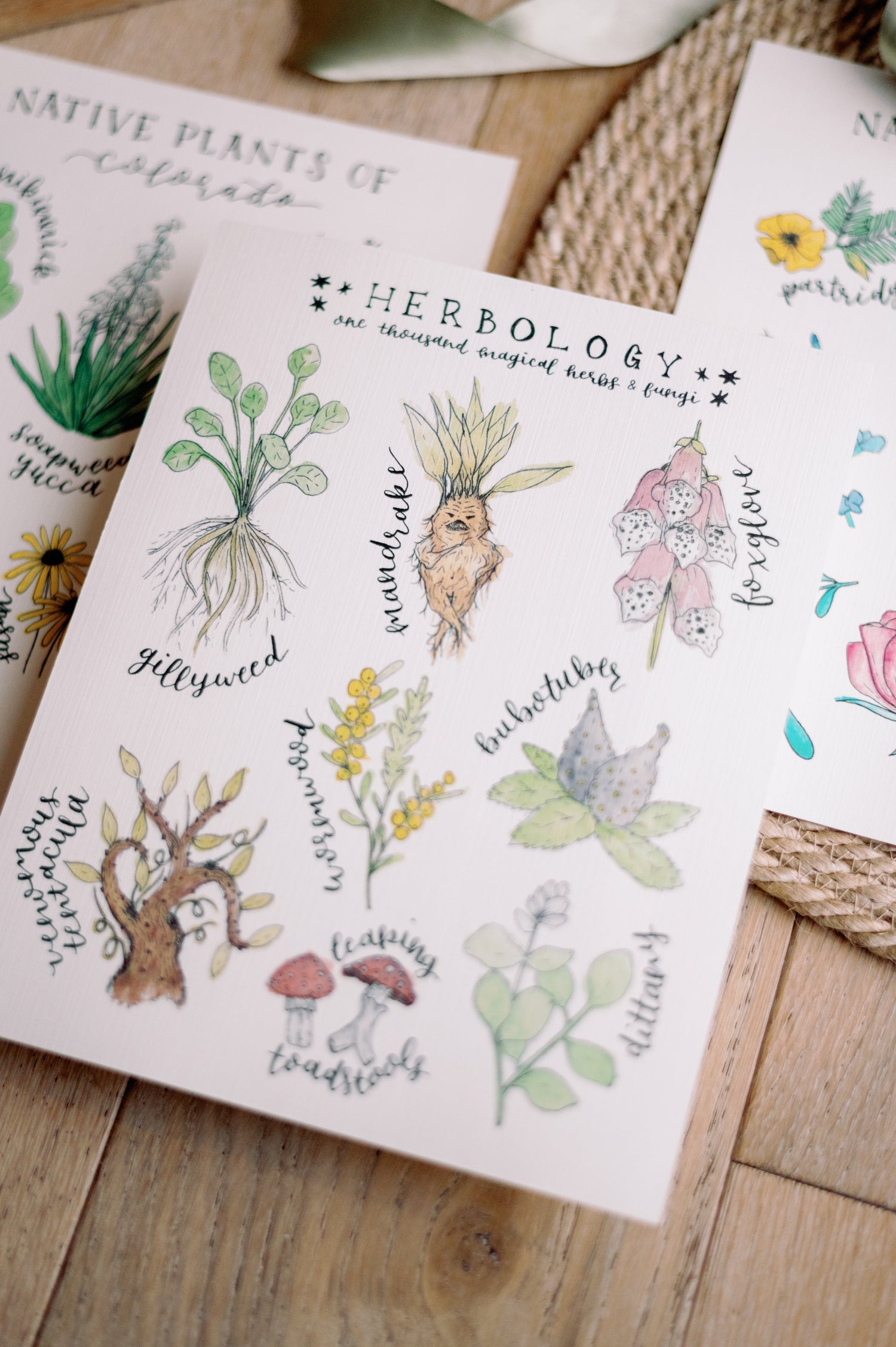 print + sticker bundles