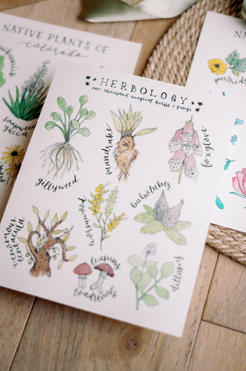print + sticker bundles image