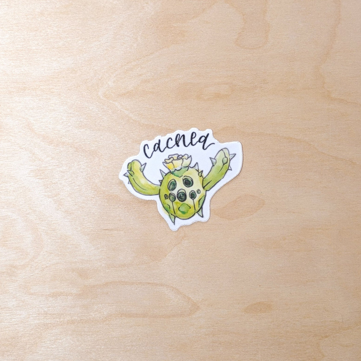 Cacnea Botanical Hand-Illustrated Sticker
