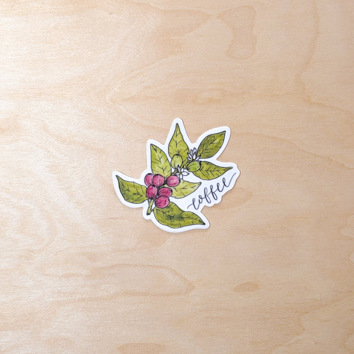 Coffee Plant Botanical Hand-Illustrated Sticker
