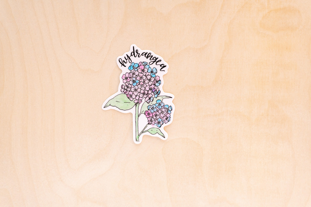 Taylor Swift Sticker Pack