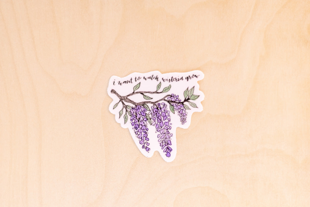 Taylor Swift Sticker Pack