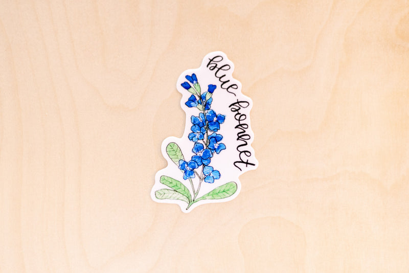Native Plants of Texas Art Print + Sticker