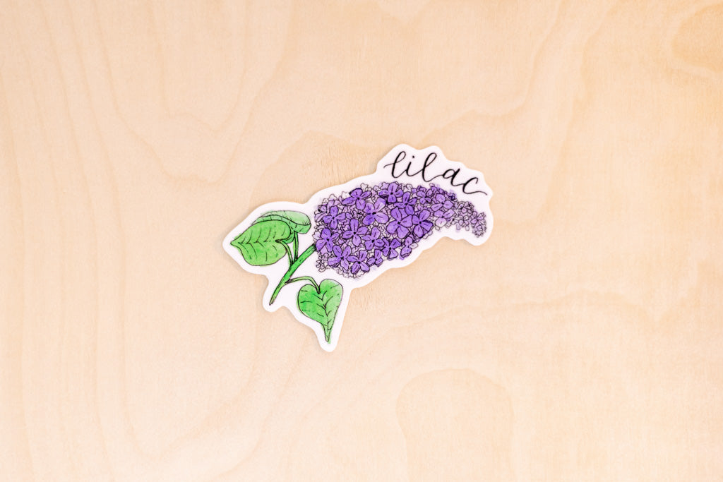 Taylor Swift Sticker Pack