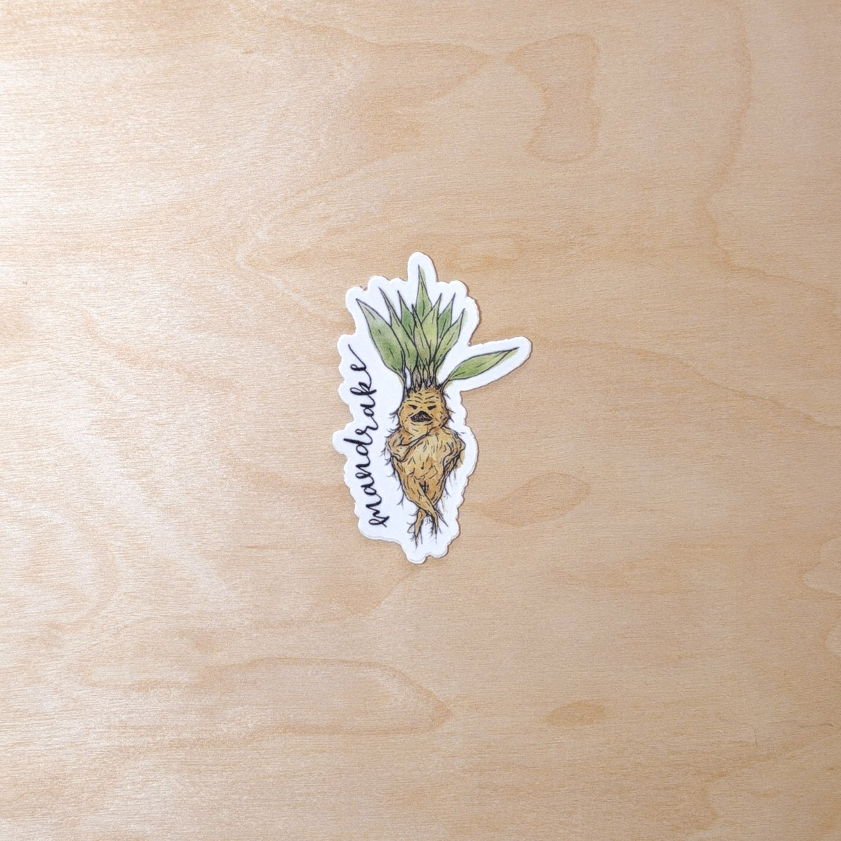 Mandrake Root Botanical Hand-Illustrated Sticker