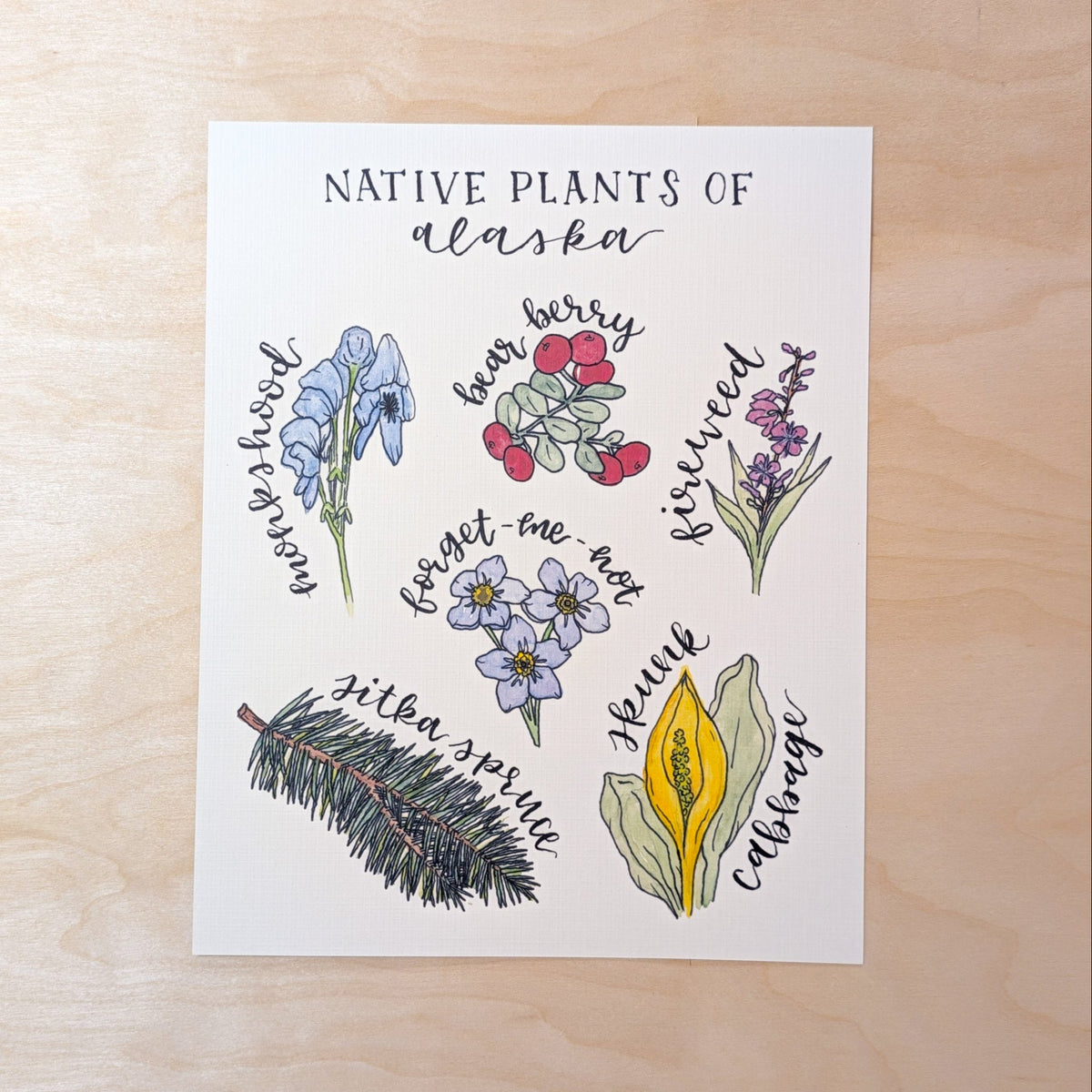 Native Plants of Alaska Floral Botanical Print