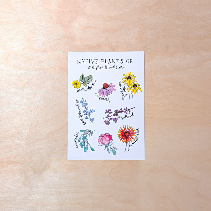 Native Plants of Oklahoma Illustrated Postcard