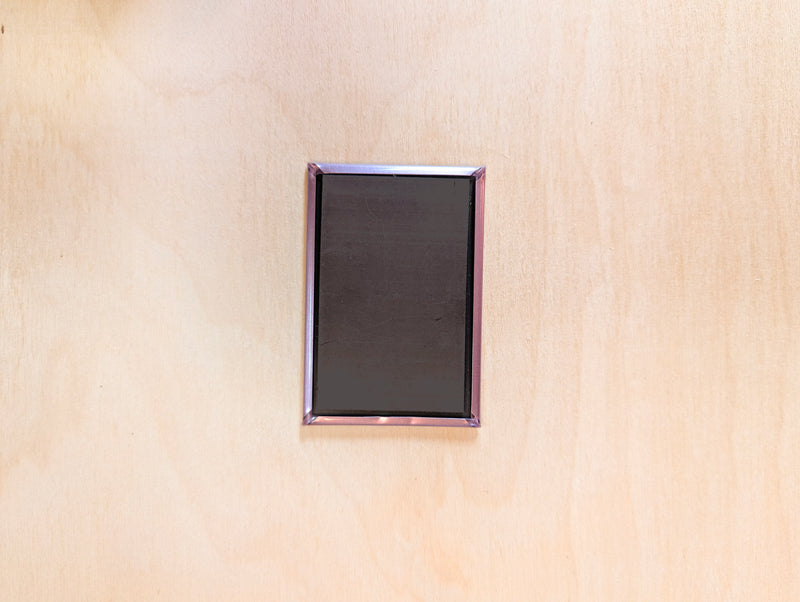 "I Want to Believe" UFO Magnet