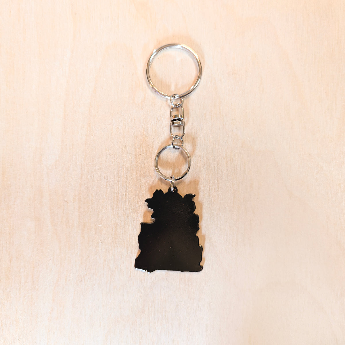 Book & Pothos Metal Keychain