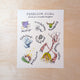 Silksong Botanical Art Print