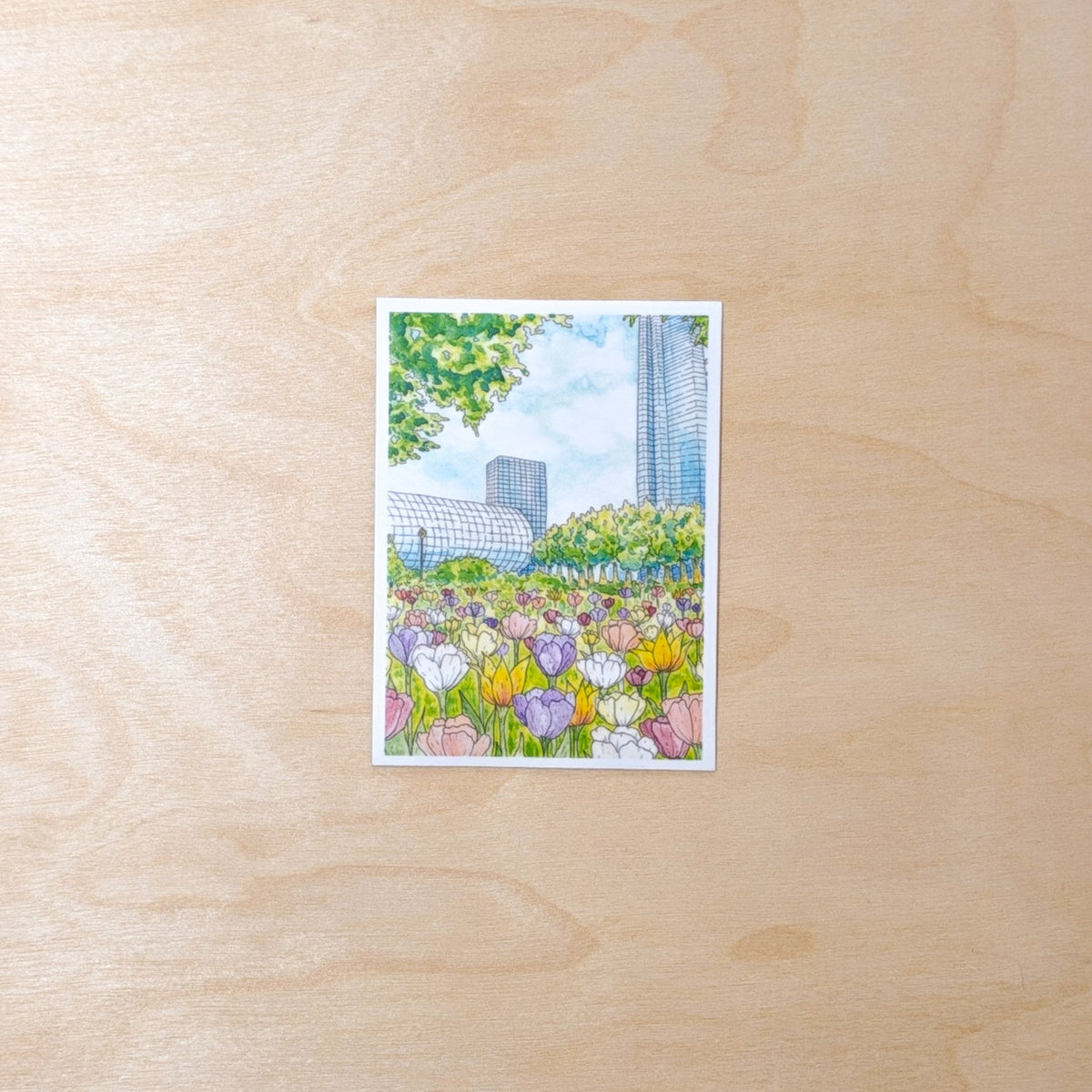 Tulips in the City Botanical Hand-Illustrated Sticker