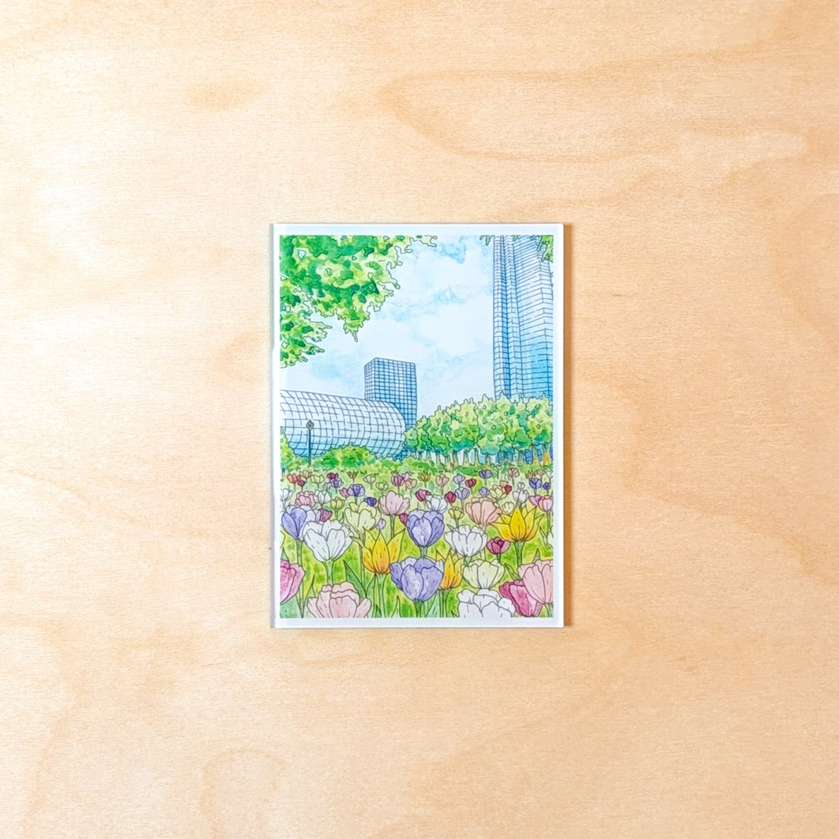 Tulips in the City Magnet