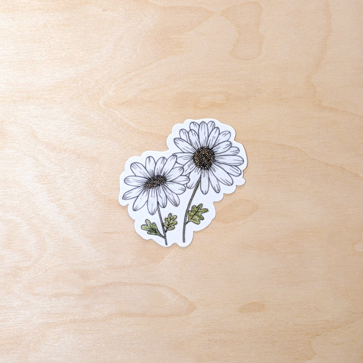 Daisy Floral Botanical Hand-Illustrated Sticker